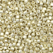 Perline Miyuki Delica 11/0 Duracoat galvanized silver DB-1831