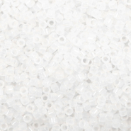 Perline Miyuki Delica 11/0 Matte crystal DB-741