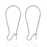 Orecchini in acciaio inossidabile argento