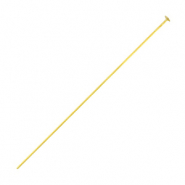 Componenti in acciaio inossidabile chiodino a testa piatta 50mm oro