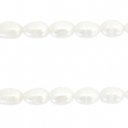 BQ Perle di acqua dolce chicco di riso 7x6mm bianco naturale