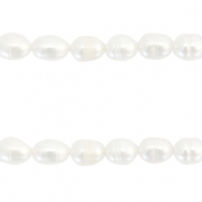 BQ Perle di acqua dolce chicco di riso 7x5mm bianco naturale