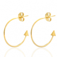 Orecchini in acciaio inossidabile a cercio oro