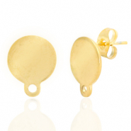 Orecchini in acciaio inossidabile 10mm con anellino oro