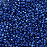Perline Miyuki Delica 11/0 Duracoat galvanized navy blue DB-2511