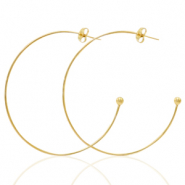 Orecchini in acciaio inossidabile a cerchio oro