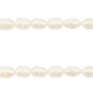 BQ Perle di acqua dolce chicco di riso 8x6mm bianco naturale