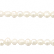 Perle di acqua dolce rotonde 3mm bianco naturale