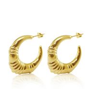 Orecchini in acciaio inossidabile a cerchio ovale oro