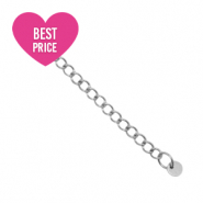 Componenti in acciaio inossidabile allungatrice con piastra rotonda 4mm argento