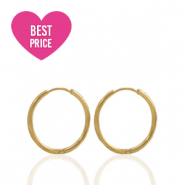 Orecchini in acciaio inossidabile a cercio 11mm oro