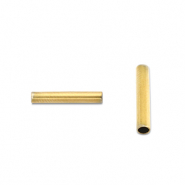 Perline in acciaio inossidabile tubo 5mm oro