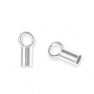 Componenti di metallo DQ Eco-brass® terminale argento antico (privo di nichel)