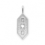 Ciondoli in acciaio inossidabile esagono argento-trasparente