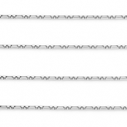 Componenti in acciaio inossidabile catena a rolò rettangolo argento