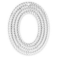 Ciondoli in acciaio inossidabile ovale argento