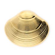 Broches accattivanti in acciaio inossidabile conchiglia oro