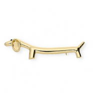 Broches cane bassotto oro