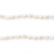 TQ Perle di acqua dolce chicco di riso 5x4mm bianco naturale