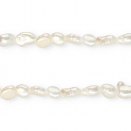 TQ Perle di acqua dolce pepita ovale 6x5mm bianco naturale