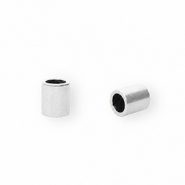 Componenti in acciaio inossidabile terminale Ø2.5mm argento