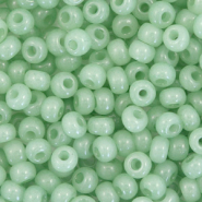 Preciosa Rocailles Preciosa 6/0