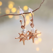 Set di ispirazione Realizzare gioielli con ciondoli e perline in acrilico e metallo DQ. 