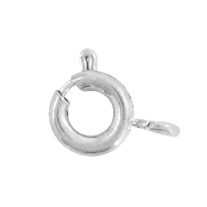 Componenti in acciaio inossidabile chiusura anello a molla 5 mm argento