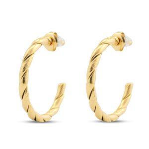 Orecchini in acciaio inossidabil a cerchio oro