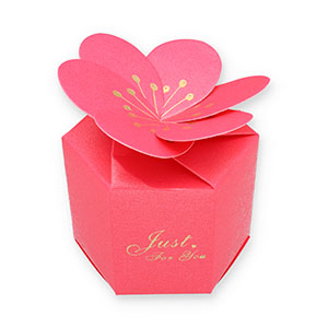 Confezione regalo fiore "Just for you" fucsia rosa-oro