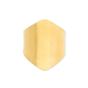 Anelli in acciaio inossidabile oro