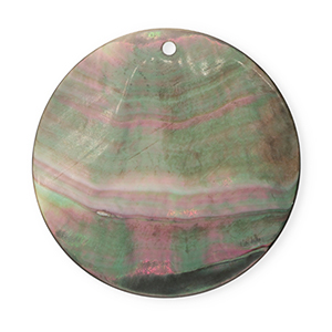 Pendenti di conchiglia prodotti speciali tonda grigio scuro