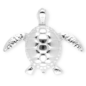 Broches accattivanti in acciaio inossidabile tartaruga argento
